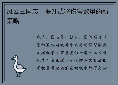 风云三国志:提升武将伤害数量的新策略